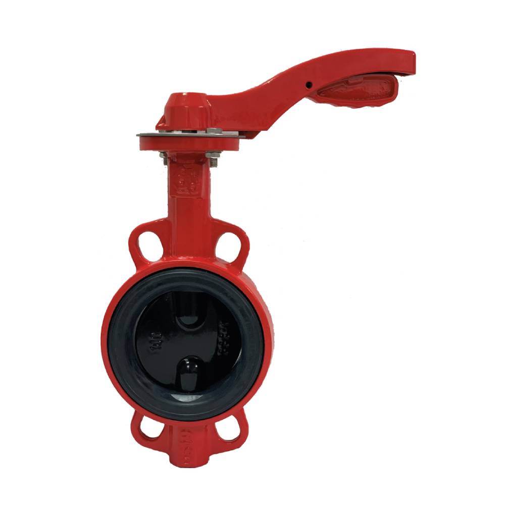Затвор дисковый поворотный РАШВОРК DN200 PN16, GG25 / GGG40 / EPDM, М/Ф с рукояткой, 200-200-16