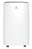 Осушитель воздуха Royal Clima серии CARISMA Loft RD-CR20-E