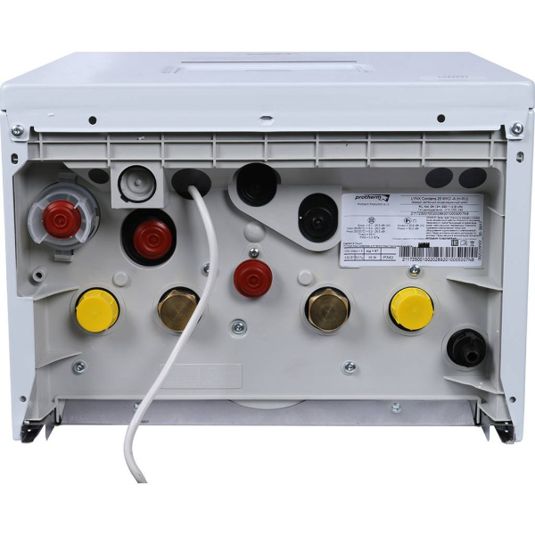 Газовый настенный котел Protherm (Протерм) Рысь одноконтурный 25,5 кВт