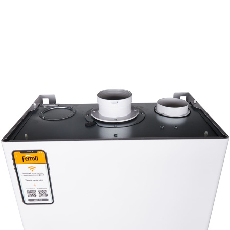 Газовый настенный котел Ferroli двухконтурный 40 кВт