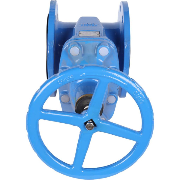 007-1481 Tecofi Задвижка чугунная