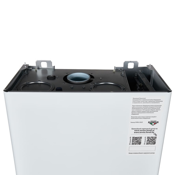 ZL0BYJ2JYA FERROLI Vitabel F13 Настенный двухконтурный котел