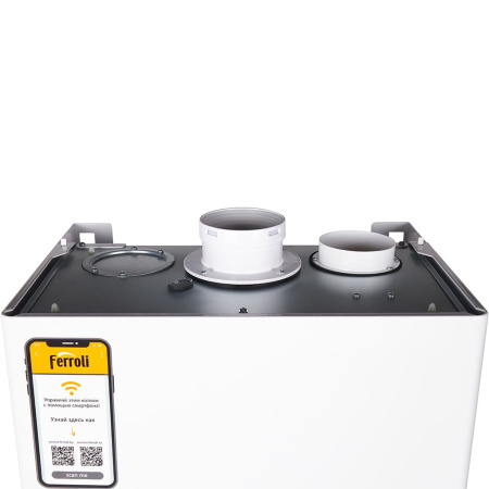 Газовый настенный котел Ferroli одноконтурный 32 кВт