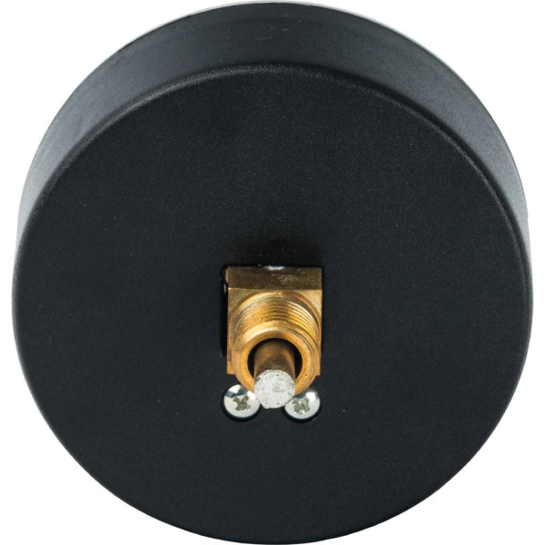 Watts FR 818(TMAX) 4 Термоманометр аксиальный 1/2" x 4 бар (80мм)